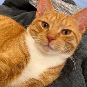 Meet your Posher, Caryl